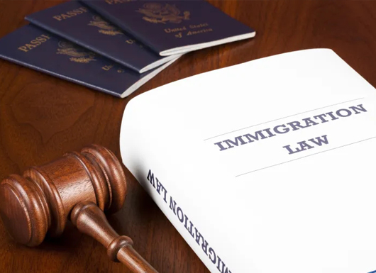 深圳網站建設案例(深圳市無憂啟程科技有限公司)